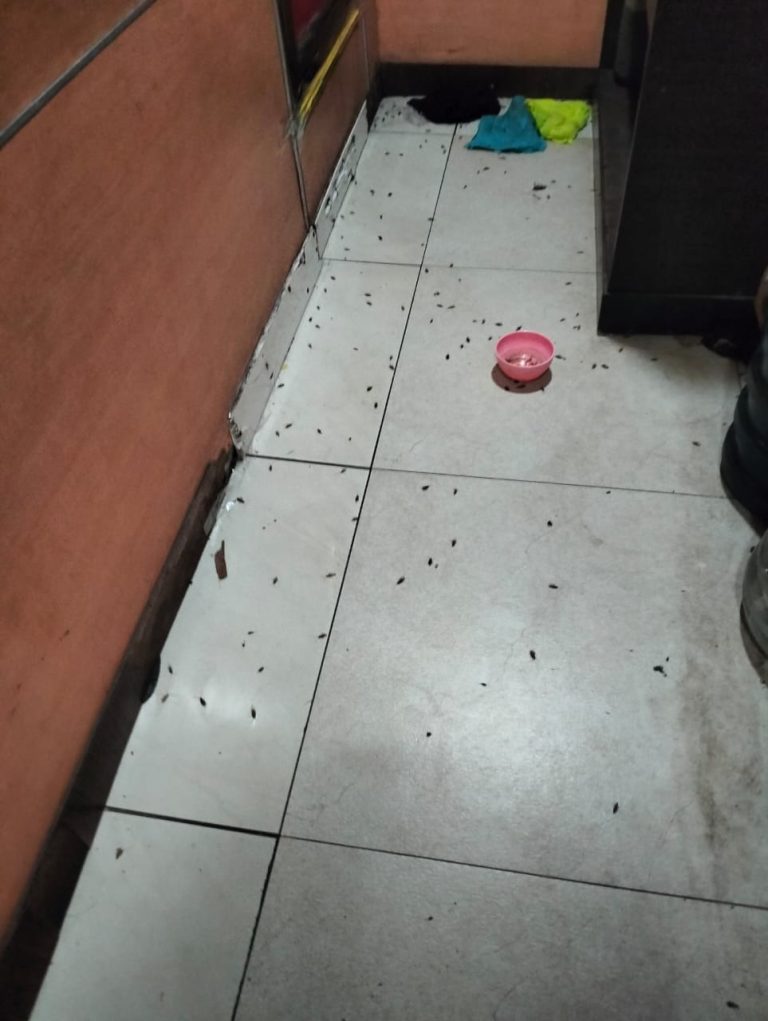 WhatsApp Image 2025-05-28 at 11.03.02